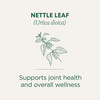 Traditional Medicinals Organic Nettle 16 Tea Bags
