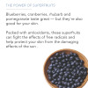 Superfruit Smoothie Scrub 8.8 Oz Antioxidant Face And Body Exfoliator