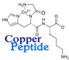 Super Cp Serum By Skin Biology 4 Oz. Copper Peptide Serum For Fine Lines And Wrinkles Anti Aging Look Young Again