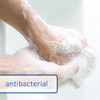 Dial Antibacterial Bar Soap Mountain Fresh 3.2 Ounce 6 Bars