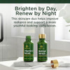 Tree Of Life Face Serum Skin Care Set Vitamin C And Retinol Serum For Face