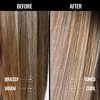 Pravana The Perfect Blonde Seal And Protect Leave In Conditioner 10.1 Oz
