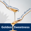 Betterbody Foods Organic Blue Agave Syrup 78 Oz Low Glycemic Sweetener
