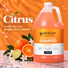 Ginger Lily Farms Club And Fitness Shampoo 128Oz Citrus