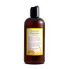 Just Nutritive Normal Hair Shampoo Best Shampoo For Normal Hair Types Leaves Hair Fresh And Great