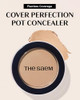 The Saem Cover Perfection Pot Concealer Intensive Single Pot Coverage Balm For Blemishes And Dark Circles 0.14 Oz 4G No 02 Rich Beige