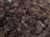 Organic Cotton Plus Buckwheat Hulls Medium Grade 5 Pounds