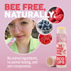 Eco Lips Bee Free Variety Vegan Lip Balm With Candelilla Wax 3 Pack