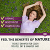 Ecolove Sulfate Free Lavender Shampoo For Dry And Color Treated Hair 17.6 Oz