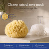 Natural Sea Sponge 5Pk Spa Gift Set Bath Shower And Facial Care Premium Bag