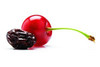 Dried Cherries 4 Lb 64Oz Resealable Bag Tart Sour Montmorency Variety Sweetened