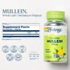 SOLARAY Mullein Leaf 330 mg - Soothing Herbal Support - Mullein Capsules Traditionally Used to Support Health and Wellness - Vegan, Non-GMO, Lab Veri