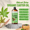 Natural Riches Usda Organic Castor Oil Cold Pressed For Dry Skin Hair Loss Dandruff Hair Growth And Thicker Eyelashes And Eyebrows 16 Fl. Oz
