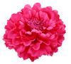 Hair Flower Clips Brooch Boutique Hair Accessories Bohemia Hairpins For Women Girls Rose