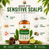Nature Sustained Natural Shampoo Organic Raw And Wildcrafted With Probiotics Hypoallergenic Natural And Sulfate Free Shampoo For Sensitive