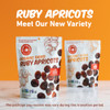 Made In Nature Organic Dried Apricots 16 Ounce Pack Of 1 Vegan Snack Non Gmo Unsulfured Gluten Free Kosher