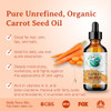 Bella Terra Oils Natural Carrot Seed Oil 16 Oz Pure Natural Carrot Essence Offering The Best Of Vitamin C And Omega Fatty Acids The Beacon