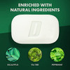 Defense Soap 12Pk All Natural Peppermint Bar Soap For Men