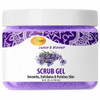 Spa Redi Pedicure Prep Exfoliating Pumice Gel Hydrating 16 Oz