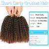 8 Inch Short Passion Twist Hair 6 Bundles Kinky Curly Crochet Hair For Black Women Curly Braiding Hair Crochet Braids Hair 6Bundles8 Inch 1B