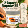 Best Nature S Cosmetics Mamey Sapote Oil Organic Pure Cold Pressed Hair And Skin Oil Hydrating For Curly Or Color Treated Hair 5 Fl Oz 150