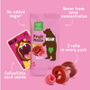 Bear Raspberry Fruit Yo Yo S 5 Count .7 Oz