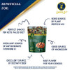 Aznut Raw Hazelnuts Filbert Nuts Shelled Gluten Free Fresh Premium Quality 100 Percent Natural Non Gmo Project Certified Kosher Certified