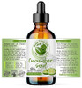 Bella Terra Oils Cucumber Seed Oil 4Oz A Symphony Of Nutrients And Essential Fatty Acids Cucumber S Gift For Lustrous Skin Brilliance