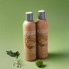 Color Protection Shampoo 8 Oz New Packaging