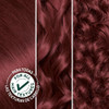 Garnier Nutrisse Ultra Crème Hair Color Permanent Hair Dye With 100 Percent Gray Coverage Vegan And Cruelty Free 56 Rich Auburn Sangria 2