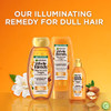 Garnier Whole Blends Moroccan Argan And Camellia Oils Illuminating Conditioner For Silky Shine 12.5 Fl Oz 3 Count Packaging May Vary