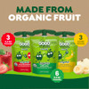 Gogo Squeez No Sugar Added Organic Applesauce Variety Pack 12 Count