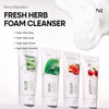 Nature Republic Fresh Herb Peach Cleansing Foam Hydration And Moisturizing Daily Makeup Remover Nighttime Foaming Pore Cleansing Aloe Face