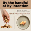 Premium Wild Harvested Raw Brazil Nuts 2 Lbs 32Oz High Selenium Batch Tested Peanut And Gluten Free Non Gmo Kosher Resealable Bag