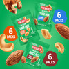 Emerald Mixed Nuts Variety Pack 100 Calorie Snack Packs 18 Count