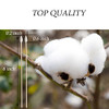 500Pcs 6 Inch Long Precision Tips Cotton Swabs With Wooden Stick