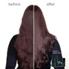 Shu Uemura Art Of Hair Ultimate Reset Shampoo For Damaged Hair 10 Fl Oz