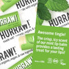 Hurraw Mint Lip Balm 3 Pack Organic Certified Vegan Cruelty And Gluten Free. Non Gmo 100 Percent Natural Ingredients. Made In Usa