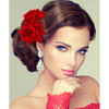 Bememo 2 Pack Women Red Rose Flower Hair Clips Flamenco Flower Side Combs