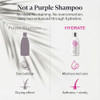 Maison 276 Hydrate Shampoo For Grey And Silver Hair Deep Hydration Gentle Cleanse No Purple Dyes Plant Based Care For Naturally Grey Hair