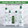 Chi Powerplus Exfoliating Shampoo For All Hair Types 12 Oz