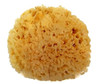 Spa Destinations Natural Sea Wool Sponge 5 6 Natural Renewable Resource Bath And Shower
