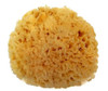 Spa Destinations Natural Sea Wool Sponge 5 6 Natural Renewable Resource Bath And Shower