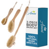 Asani 3 Piece Dry Brushing Body Brush Set For Lymphatic Drainage And Skin