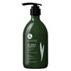 Luseta Tea Tree Shampoo With Argan Oil 16.9 Fl Oz