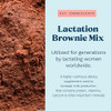 Lactation Brownie Mix Breastfeeding Supplement Double Chocolate Breast Milk Support Snack Alternative To Lactation Cookies To Boost