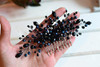 Kercisbeauty Wedding Bridal Hair Accessories Black Crystal Hair Comb Headband Hair Vine Party Prom Women Headpiece