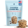 Lactation Cookies Mix Gluten Free And Dairy Free Oatmeal Breastfeeding Cookie Supplement Support For Breast Milk Supply Increase Chocolate