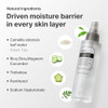 Dearklairs Green Tea Spray Toner Hydrating Face Mist Korean 4.22 Fl Oz