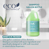 Eco Botanics 1 Gallon Shampoo Refill For Hotel Dispensers Bulk Toiletries